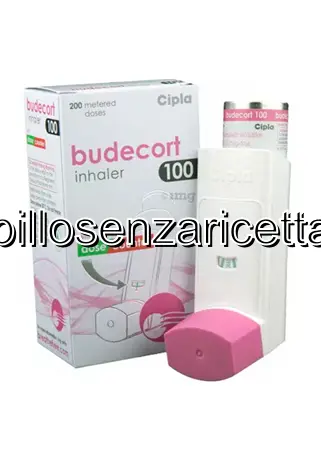 rhinocort